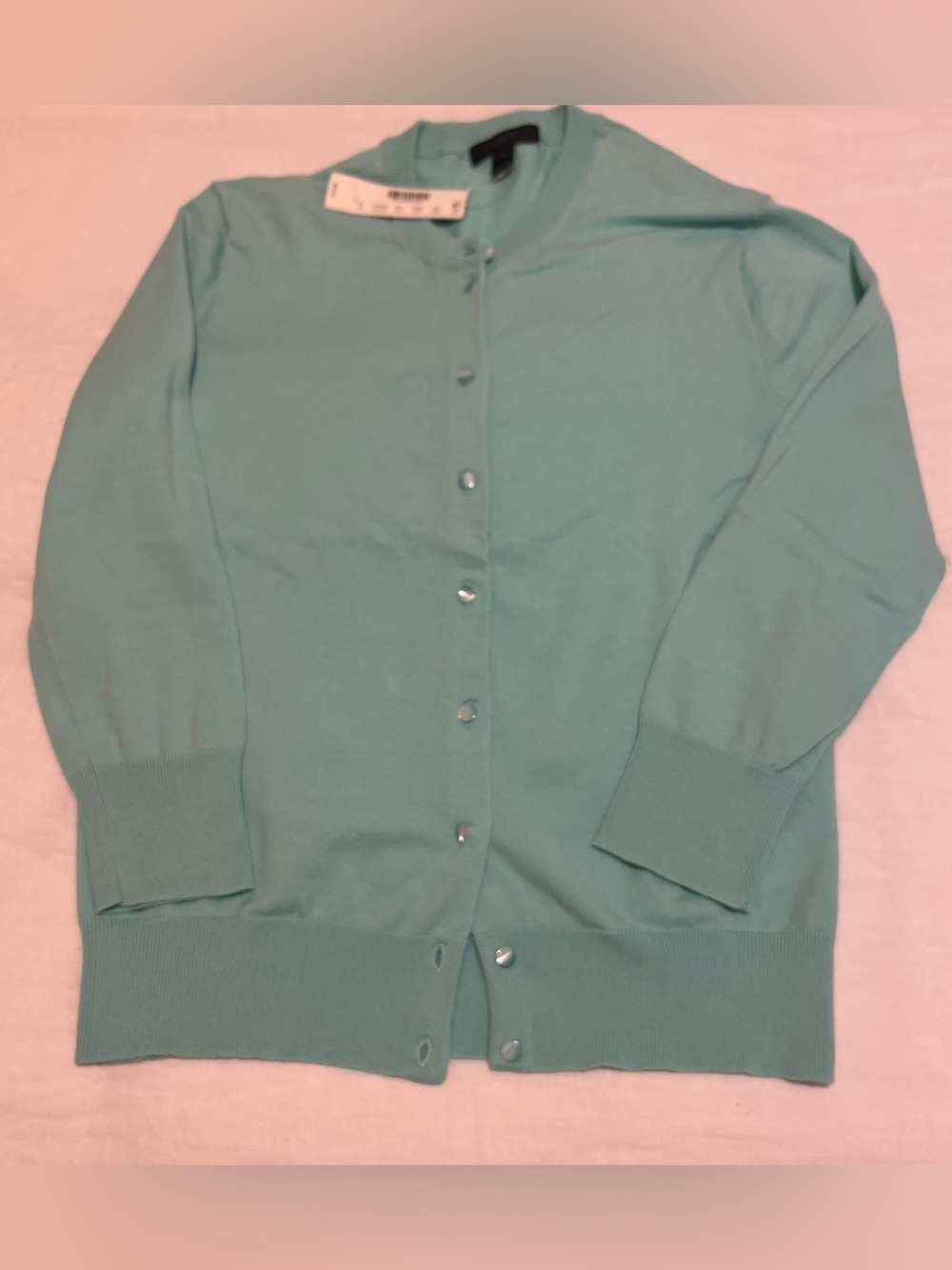 J Crew cotton sweater in mint green.  NWT